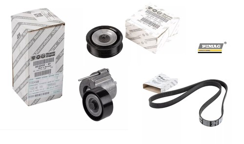 Kit cinghia alternatore - cinghia,