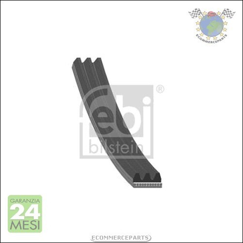 Cinghia alternatore servizy
