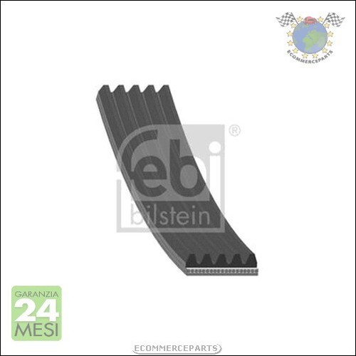 Cinghia alternatore servizy