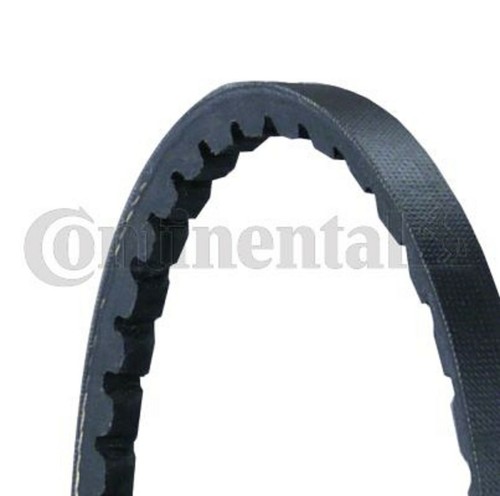 Cinghia alternatore dinamo - ,