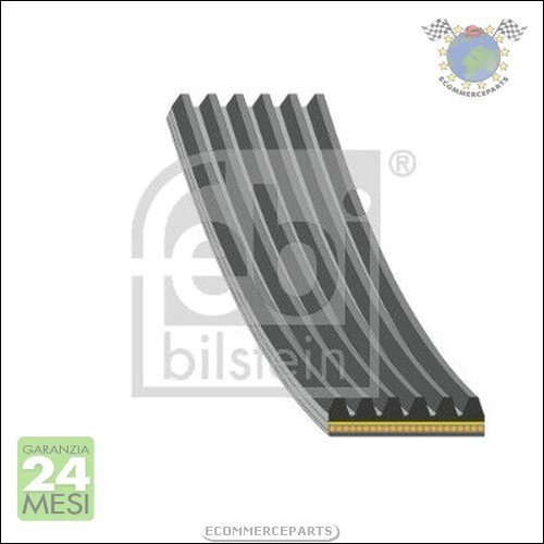 Cinghia alternatore servizy
