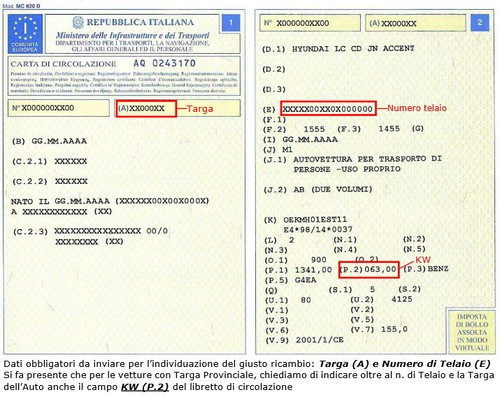 Cinghia alternatore servizy