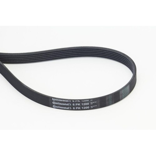 Cinghia poly continental - cinghia, v
