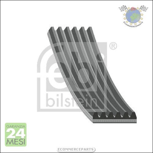 Cinghia alternatore servizy
