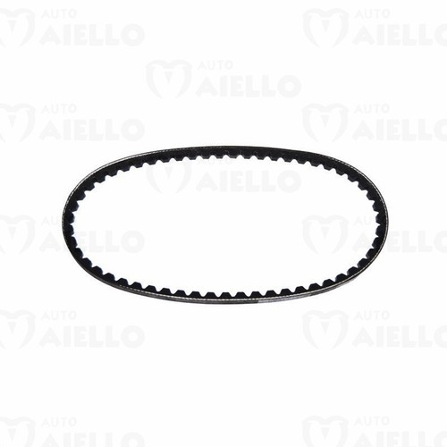 Cinghia alternatore 10x617