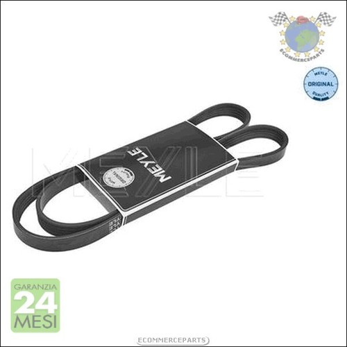 Cinghia alternatore servizy