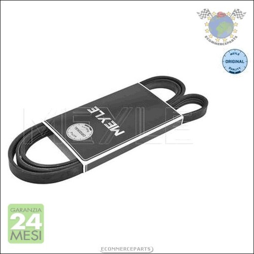 Cinghia alternatore servizy