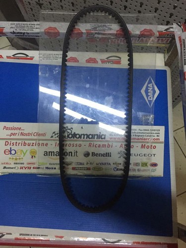 10x675 cinghia alternatore - cinghia, x
