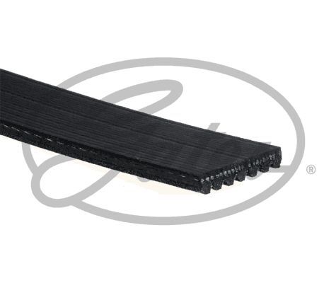 Cinghia poly gates 7pk1378 - cinghia, poly-v