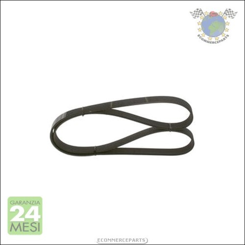 Cinghia alternatore servizy