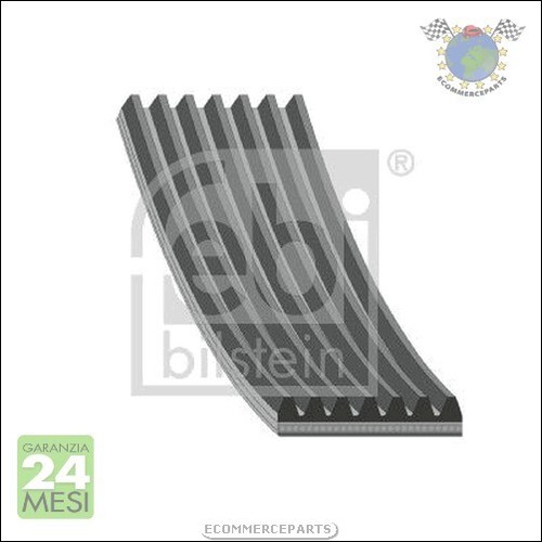 Cinghia alternatore servizy