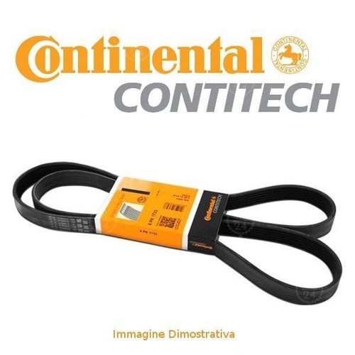 Cinghia servizi poli 5pk1145 - servizi,