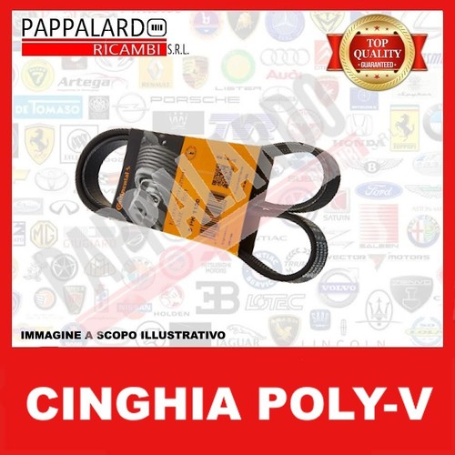 Cinghia servizi alternatore - servizi,