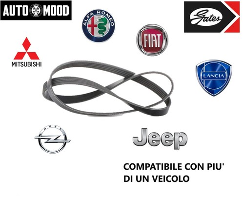 Cinghia servizi alternatore - cinghia,
