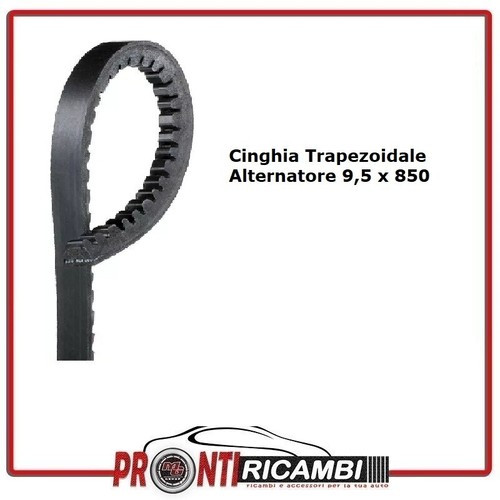 Cinghia trapezoidale - cinghia,