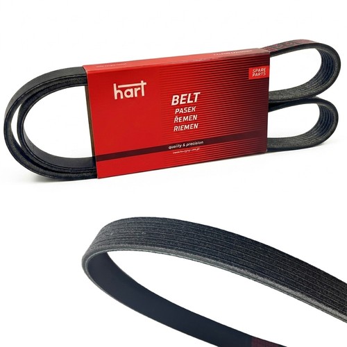 Cinghia poly servizi - poly-v, pv