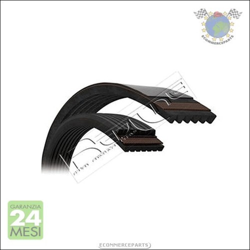Cinghia alternatore servizy