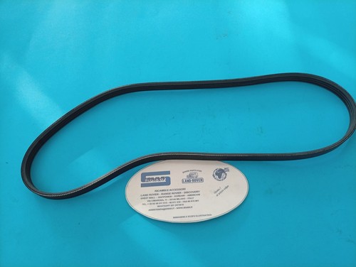 Cinghia alternatore great wall - cinghia,
