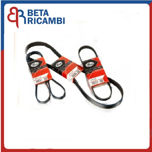 Gates cinghia ventola - gates,