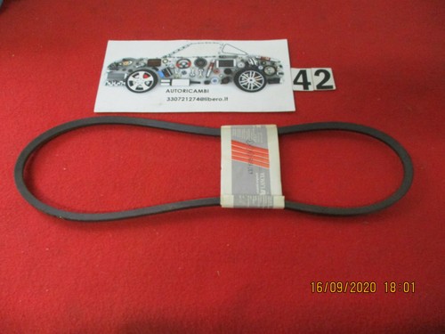 4371913 cinghia alternatore - cinghia,