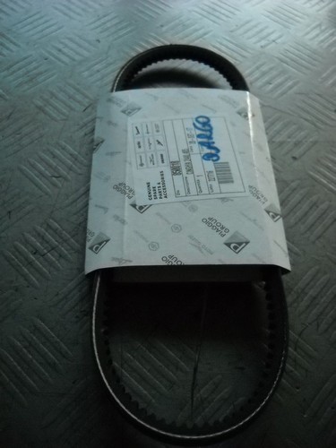 850018 cinghia alternatore - 850018,