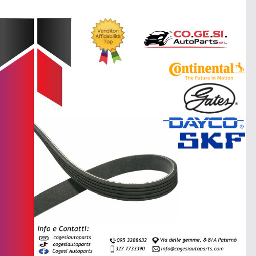 Cinghia servizi alternatore - cinghia, pv